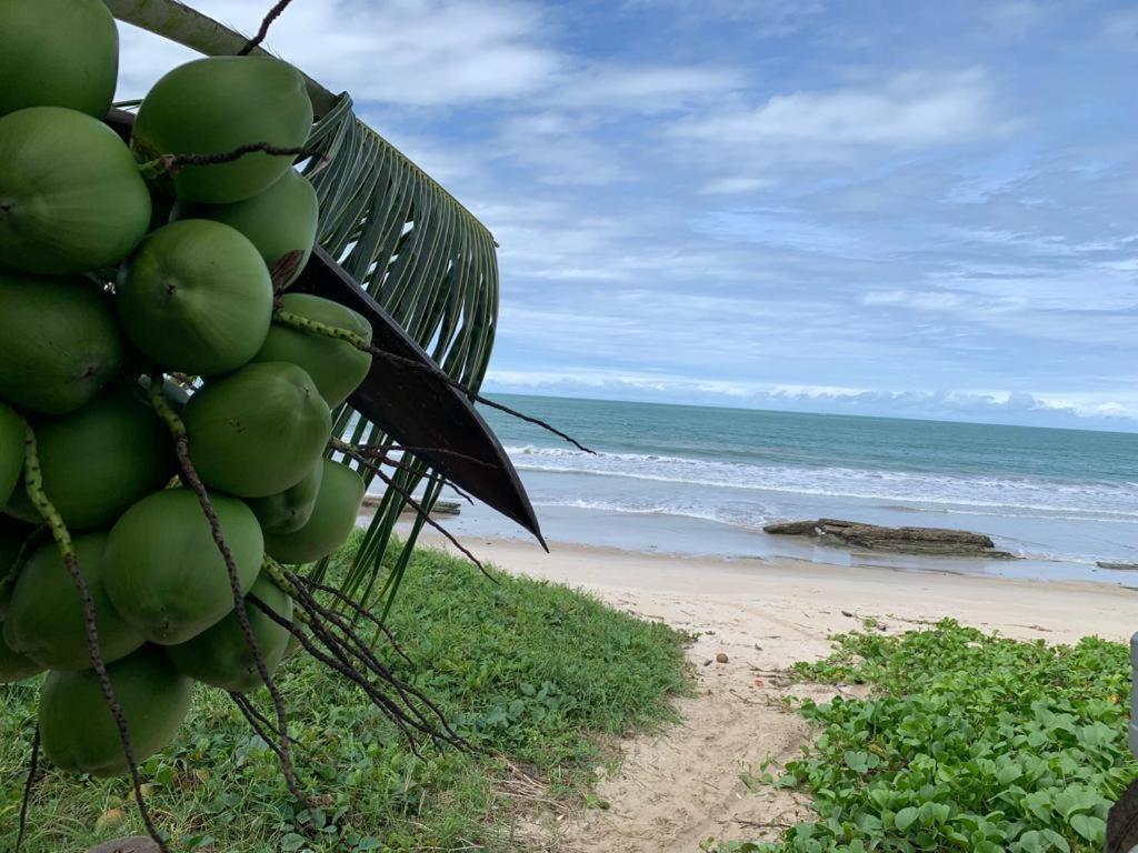 Casa No Paraiso Dos Carneiros Em Tamandaré Eksteriør bilde